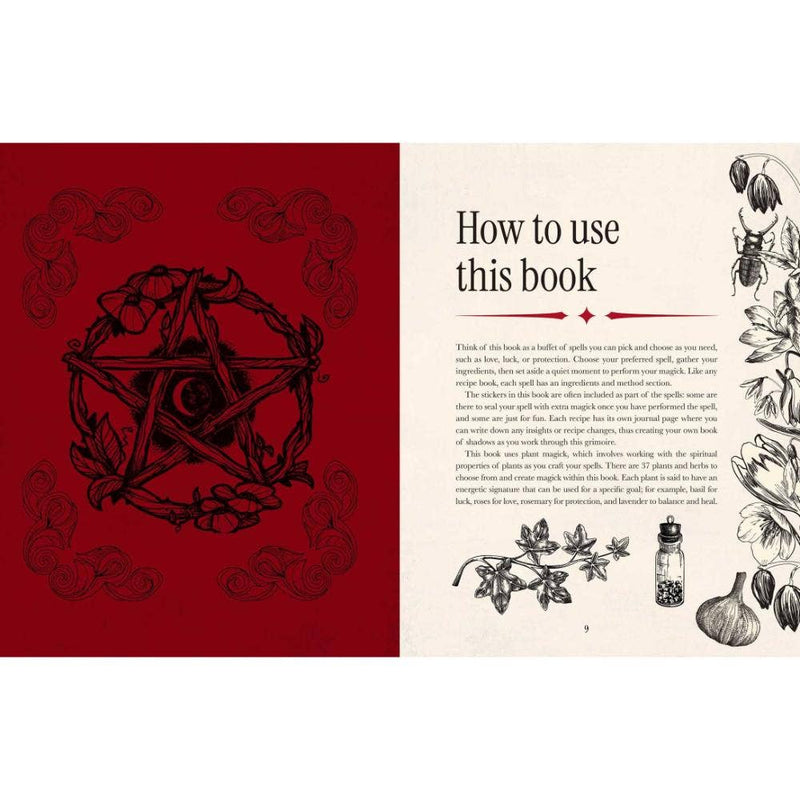 Witch's Magickal Spellbook - Dusty Rose Essentials