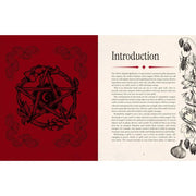 Witch's Magickal Spellbook - Dusty Rose Essentials