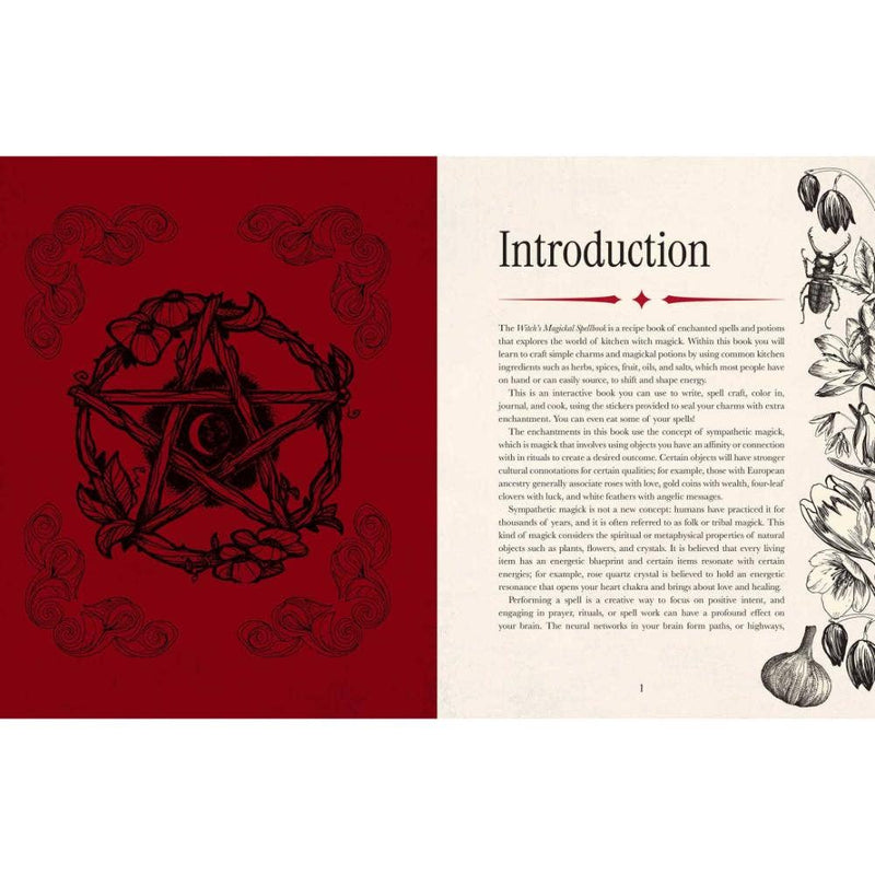Witch's Magickal Spellbook - Dusty Rose Essentials