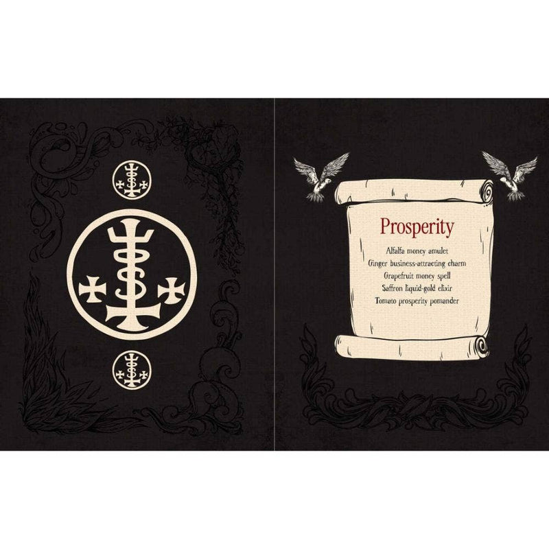 Witch's Magickal Spellbook - Dusty Rose Essentials