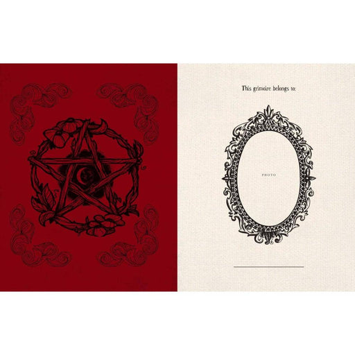 Witch's Magickal Spellbook - Dusty Rose Essentials