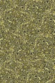 Wormwood 40 Grams - Dusty Rose Essentials