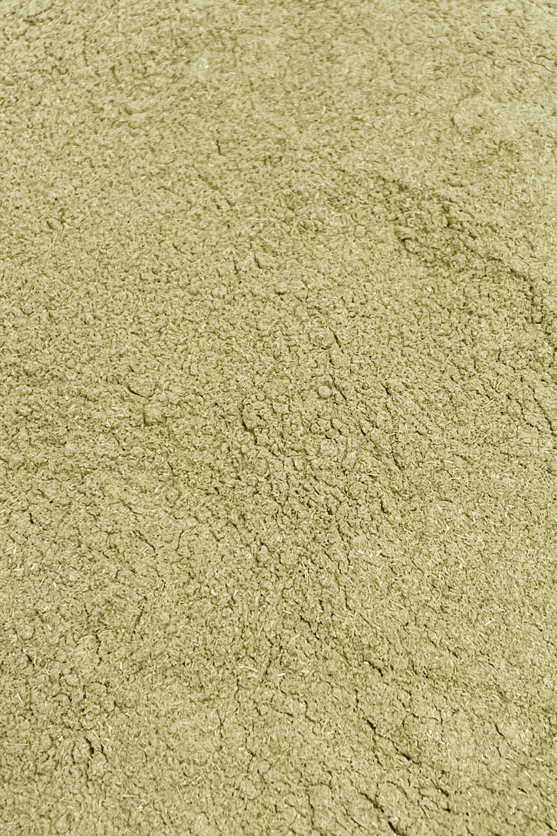 Wormwood Powder 20-Grams - Dusty Rose Essentials