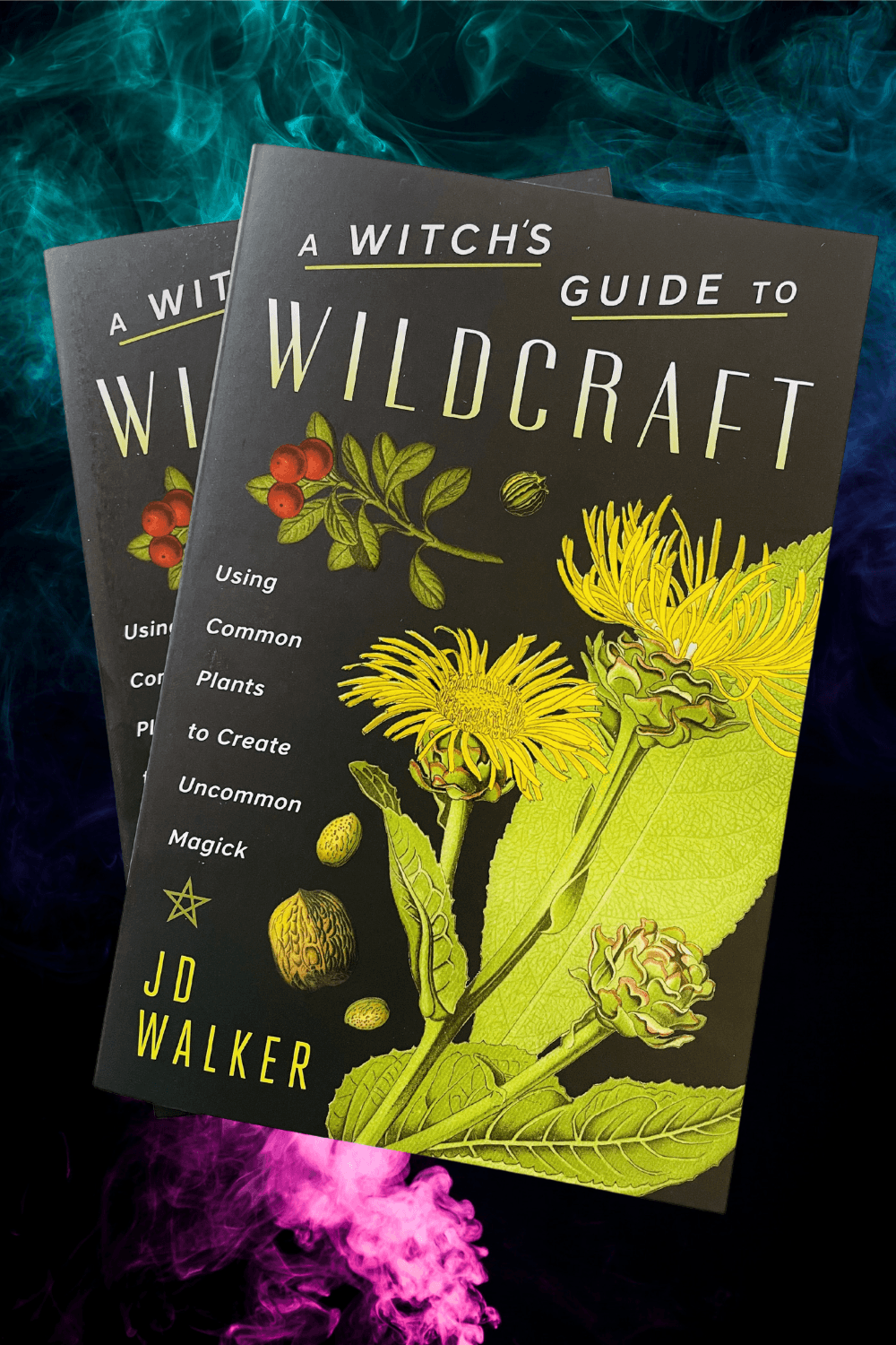 A Witch's Guide To Wildcraft Dusty Rose Essentials