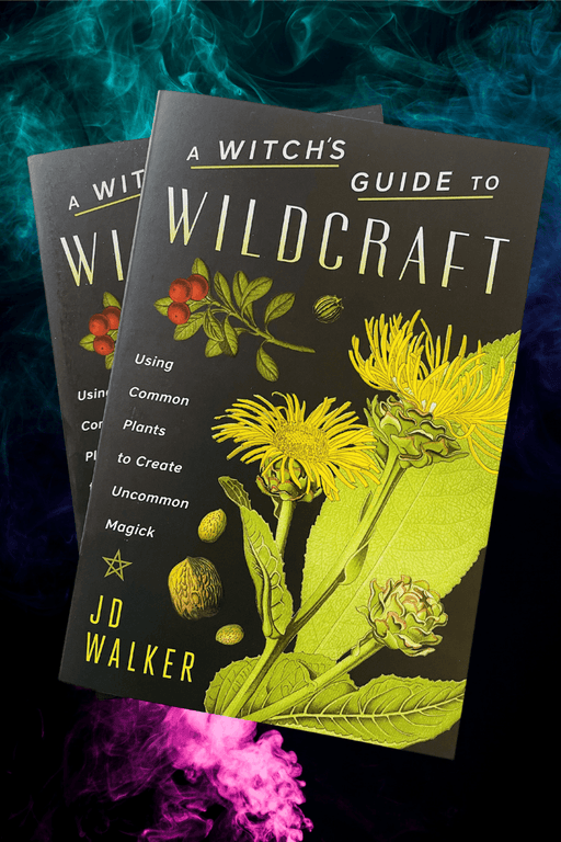 A Witch's Guide To Wildcraft - Dusty Rose Essentials