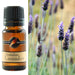 Australian Lavender Fragrance Oil 10 ml - Dusty Rose Essentials