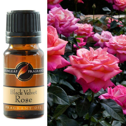 Black Velvet Rose Fragrance Oil 10ml - Dusty Rose Essentials