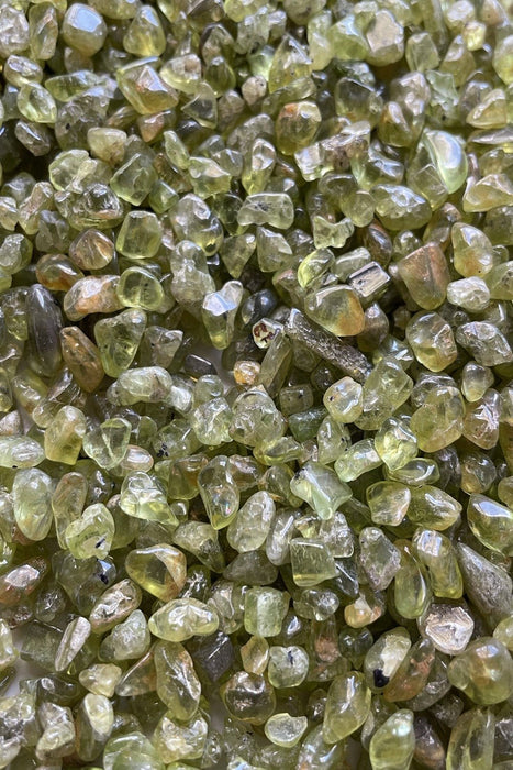 Crystal Chips : Peridot 250 grams - Dusty Rose Essentials
