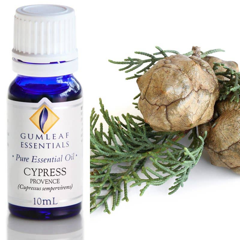 Cypress Provence Essential Oil 10 ml - Dusty Rose Essentials