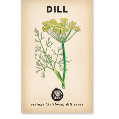 Dill 'Common' Heirloom Seeds - Dusty Rose Essentials