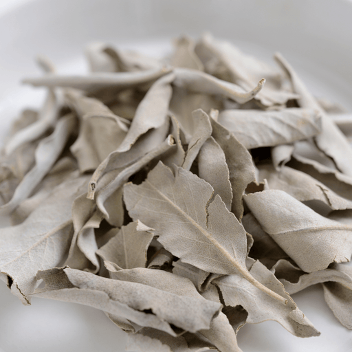 Dried White Sage Bulk Options - Dusty Rose Essentials