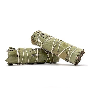 Eucalyptus Smudge Stick - Dusty Rose Essentials