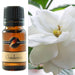 Gardenia Fragrance Oil 10ml - Dusty Rose Essentials