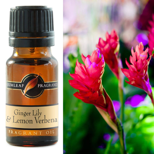 Ginger Lily & Lemon Verbena Fragrance Oil 10ml - Dusty Rose Essentials