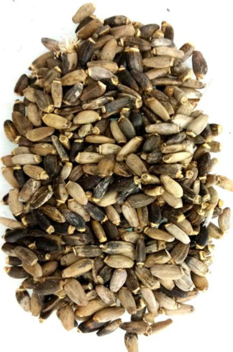 Herbs : ST MARY'S THISTLE 20 grams - Dusty Rose Essentials Witchcraft Supplies Australia