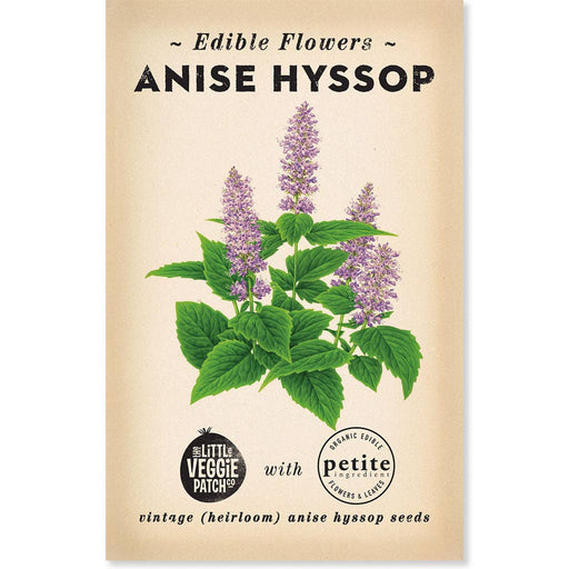 Hyssop "Anise" Heirloom seeds - Dusty Rose Essentials
