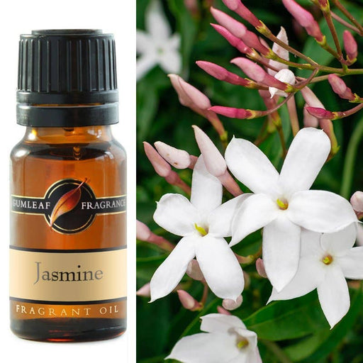 Jasmine Fragrance Oil 10ml - Dusty Rose Essentials