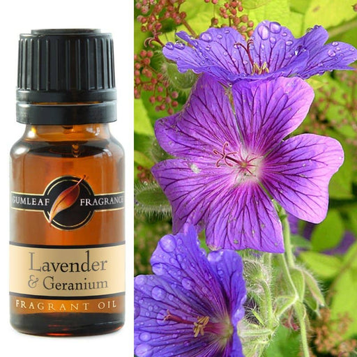 Lavender & Geranium Fragrance Oil 10ml - Dusty Rose Essentials