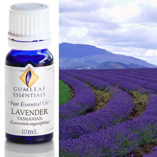 Lavender Tasmanian Essential Oil 10 ml - Dusty Rose Essentials