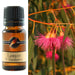 Lemon & Eucalyptus Fragrance Oil 10ml - Dusty Rose Essentials