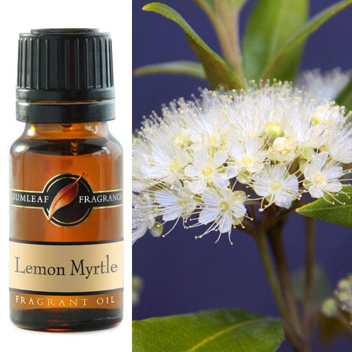 Lemon Myrtle Fragrance Oil 10ml - Dusty Rose Essentials