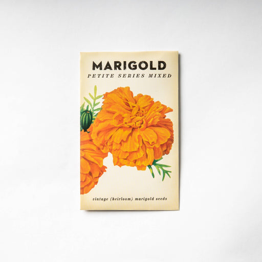 Marigold "Petit Series Mixed" Heirloom Seeds - Dusty Rose Essentials