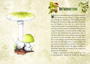 Mushroom Spirit Oracle - Dusty Rose Essentials