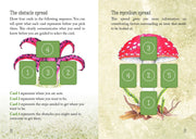 Mushroom Spirit Oracle - Dusty Rose Essentials