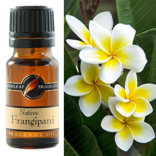 Native Frangipani Fragrance Oil 10ml - Dusty Rose Essentials