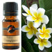Native Frangipani Fragrance Oil 10ml - Dusty Rose Essentials