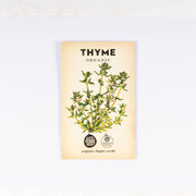 Organic Thyme 'Common' Seeds - Dusty Rose Essentials
