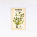 Organic Thyme 'Common' Seeds - Dusty Rose Essentials