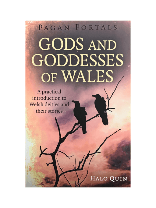 Pagan Portals Gods And Goddesses Of Wales - Dusty Rose Essentials