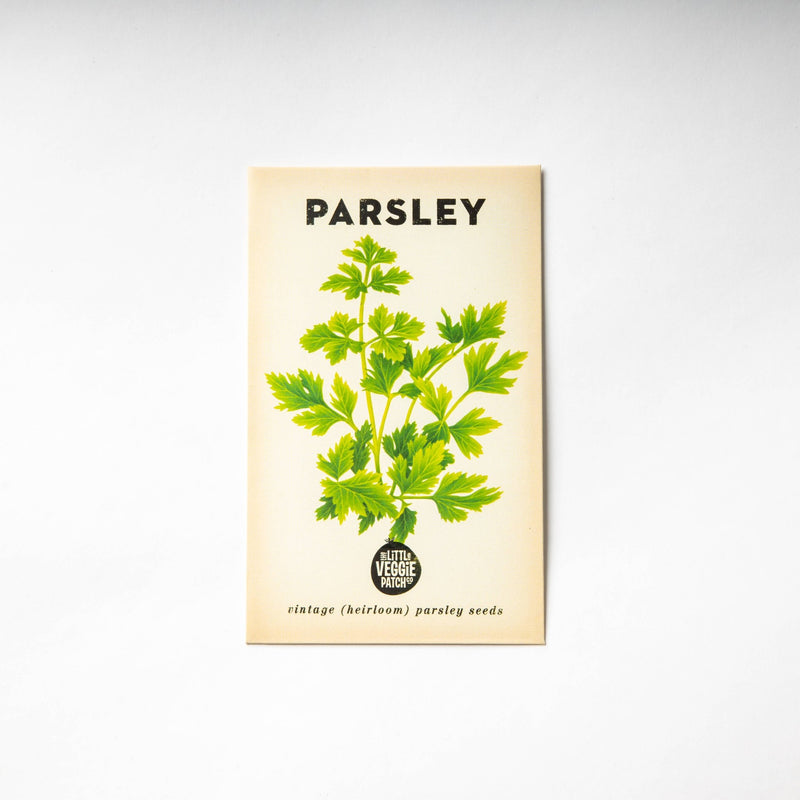 Parsley "Italian" Heirloom Seeds - Dusty Rose Essentials