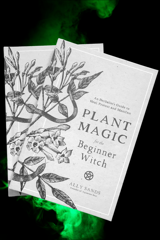 Plant Magic For The Beginner Witch - Dusty Rose Essentials