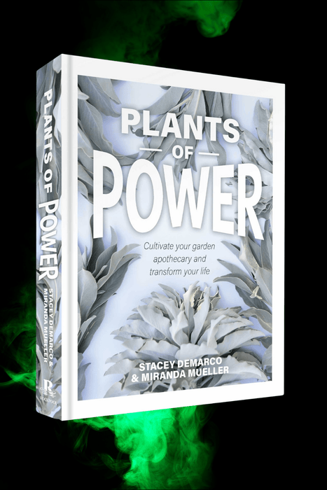 Plants of Power - Dusty Rose Essentials