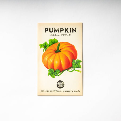 Pumpkin "Small Sugar" Heirloom Seeds - Dusty Rose Essentials