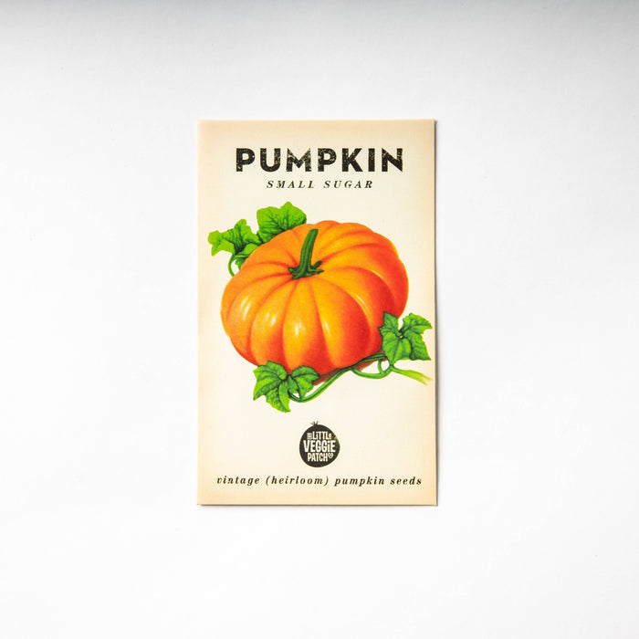 Pumpkin "Small Sugar" Heirloom Seeds - Dusty Rose Essentials