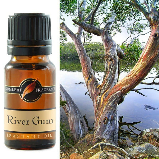 River Gum Fragrance Oil 10ml - Dusty Rose Essentials