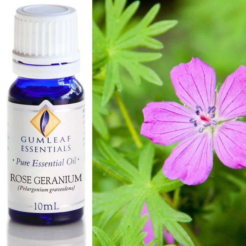 Rose Geranium Essential Oil 10 ml - Dusty Rose Essentials