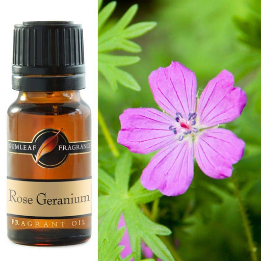 Rose Geranium Fragrance Oil 10ml - Dusty Rose Essentials
