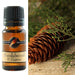Sandalwood & Cypress Fragrance Oil 10ml - Dusty Rose Essentials