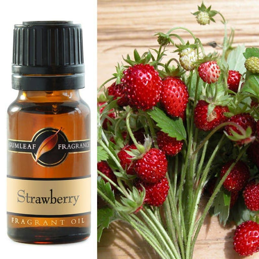 Strawberry Fragrance Oil 10ml - Dusty Rose Essentials