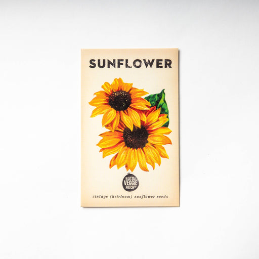 Sunflower 'Hi Sun' Heirloom Seeds - Dusty Rose Essentials