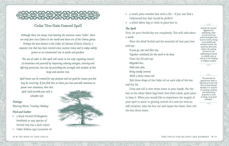 The Book of Tree Spells - Dusty Rose Essentials
