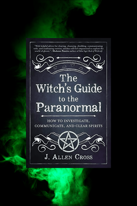 The Witch's Guide to the Paranormal - Dusty Rose Essentials